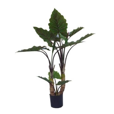 China Realistic Decoration Indoor Outdoor Artificial Bonsai Taro Tree for sale