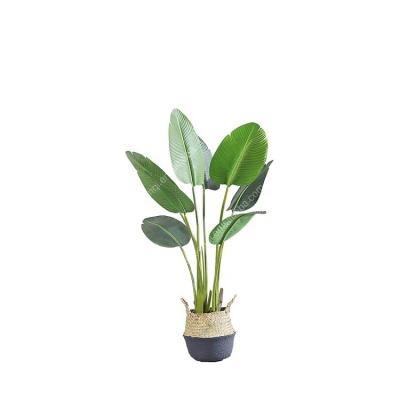 China Wholesale Travelers Goods 120cm Green Plastic Tropical Palm Artificial Banana Tree for sale