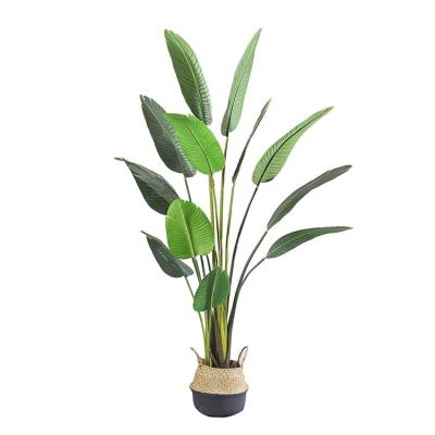 China Realistic Hot Selling Traveler's Tree Artificial Banana Tree Without Fruit In Potted for sale