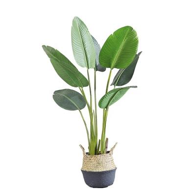 China Indoor realistic artificial traveler's tree banana tree for home decoration for sale