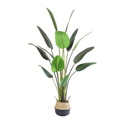 China Lifelike 180cm Home Decoration Artificial Plants Traveler-Tree for sale