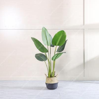 China 120cm Modern Style High Quality Durable Artificial Evergreen Banana Tree for sale