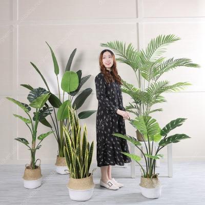 China Real Touch Maker Eco-Friendly High Quality Lifelike Big Indoor Artificial Decorative Tree Plant Potted for sale