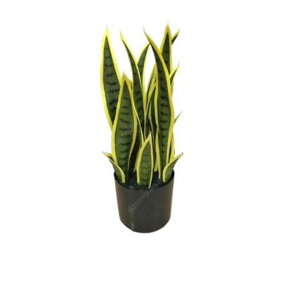 China Durable 40-100cm Hot Selling Eco - Friendly Artificial Snake Plant for sale