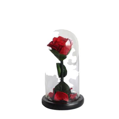 China Unique Preserved Rose Little Prince Rose Red Flowers Gifts Preserved Flower Rose in Glass Dome for Valentine's Day Gift for sale