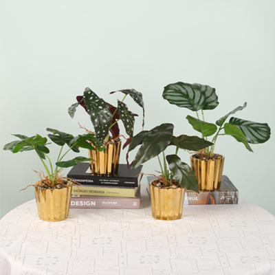 China Art Decor Ins Simple Monstera Leaf Table Decoration Simulation Green Artificial Plants For Home for sale