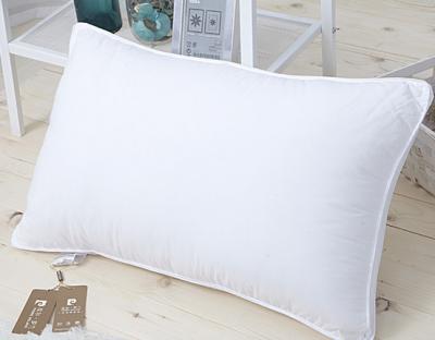 China Sustainable New Design Low Price Decorative Solid Waterproof Pillow Covers for sale