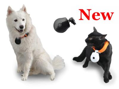 China Pet Camera with LCD Screen Displaying Telephone Number for sale