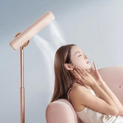 China Foldable Professional High Power Fast-Drying Anion Upright Mode Free Protector Your Hands Position Type Negative Ion Hair Dryer for sale