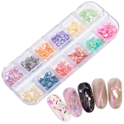 China Natural Shell Color Jewelry Tips Manicure Irregular Nail Art Salon 3d Effect Abalone Decorations for sale