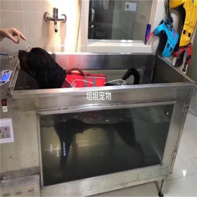 China Cheap Dog Fitness Equipment Sustainable Hydrotherapy Pet 1 Canine Underwater Treadmill For Dog for sale