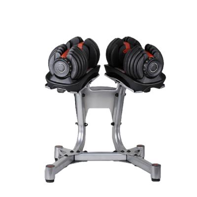 China Modern Home Gym Adjustable Dumbbell Rack Storage Rack De Mancuerna Pesas Gym Fitness 1 Row Dumbbell Rack for sale