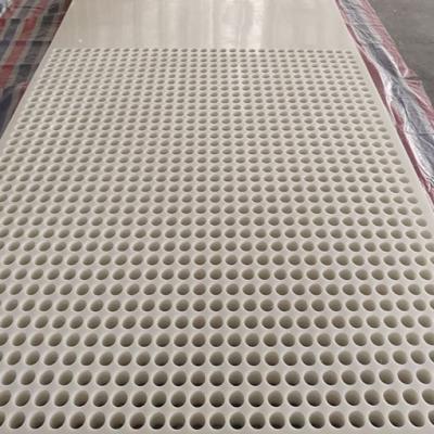 China Lightweight ; Easy Installation UHMWPE Perforated Plastic Mesh Net Sieve Plate Manufacturer From China for sale