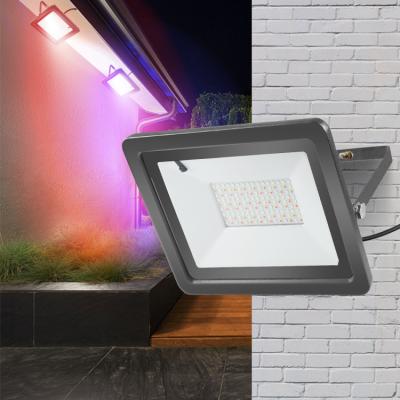 China Hot sale garden led rgb light new product ip66 waterproof outdoor smd rgb 30w 50w 100w led flood light for sale