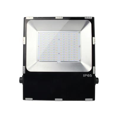 China Landscape Lighting Tuya Wifi Control Smart Flood Light 100W TDC RGB Adjustable Floodlight for sale