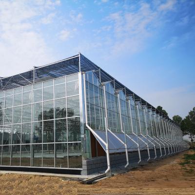 China Modern ultra clear tempered glass for greenhouse for sale