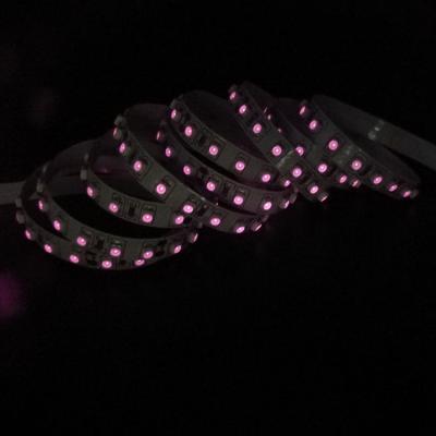 China LANDSCAPE New Style SMD3528 120LED 810nm Constant Current Led Strip Kit for sale