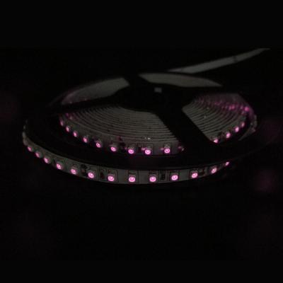 China LANDSCAPE factory supplier rohs flexible light outdoor led strip lighting for sale