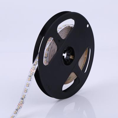 China Anti-UV design double colors SMD2216 240LEDs/M led cinta luz de tira flexible led strip light for sale