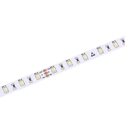 China CRI 90 Smd 3014 High Design Anti-UV Adjustable Flexible Color Cct Led Strip AC 12v/24v Dual Led Strip Light Custom for sale