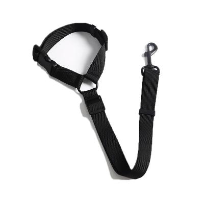 China Hot Sale Cheap Multi Function Pet Car Seat Seat Belt Leash Pet Walking Lead Viable for sale