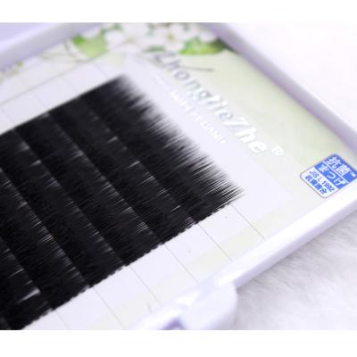 China Deeply High Quality Your Own Label Person Lashes Straight Brown Color0.07mm Volume Eyelash Extensions Lashes Length 11mm 12 Lines for sale