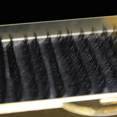 China Individual Chicken Toe Korea High Quality Mink Eyelash Extension for sale