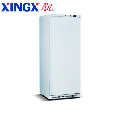 China Single-temperature commercial refrigerator, upright chiller_BC-400W-Refrigeration equipment for sale