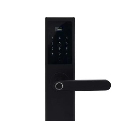 China Household EBKN Cheap Smart Biometric Fingerprint Door Lock Fingerprint Traditional Door Lock for sale