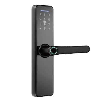 China 100 EBKN Tuya WIFI App High Security Lock Full Auto Smart Biometric Fingerprint Automatic Smart Door Lock for sale