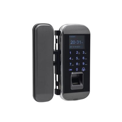 China Face Recognition Aluminum Alloy EBKN Password Code Glass Card Biometric Lock Home Door Lock for sale