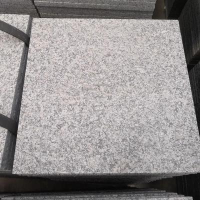 China New traditional sardo antico bianco china impala granite price 60x60 for sale