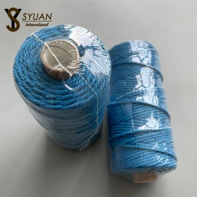 China Sustainable High Quality Twisted Macrame Tie Natural Soft Cotton Rope For Wall Hanging for sale