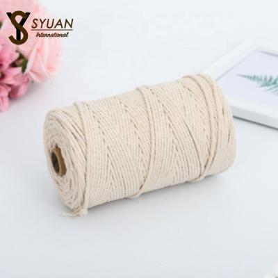 China Viable Macrame Rope 4mm Twisted Cotton Braid Rope Multi Size Length Color Cord 100 Per Meters for sale