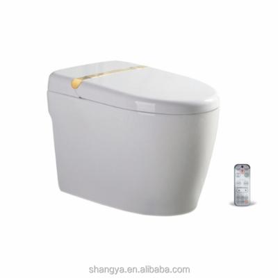 China Automatic Operation Stun Modern Design Sanitary Intelligent Toiletries Ceramic Smart Toilet for sale