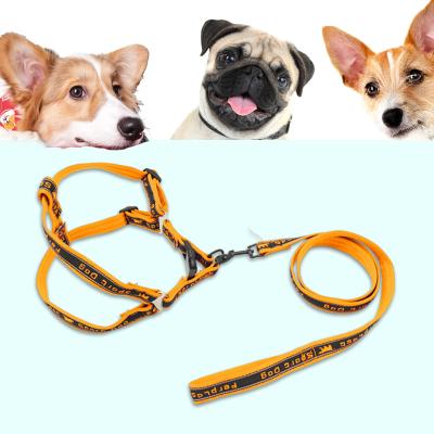 China Viable Pet Leashes Wholesale High Quality Reflective Retractable Outdoor Pet Leash for sale