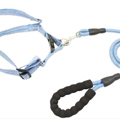 China Viable Pet Collar Dog Harness Travel Leash Pet Accessories Training Products Training Supplies Lead Carrier for sale