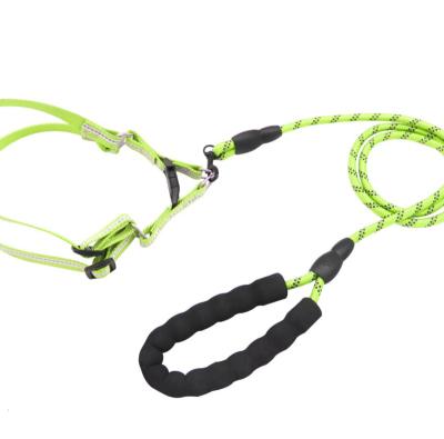 China PNB Sustainable Durable Luxury Nylon Training Dog Leash Hook Dog Leash Harness Reflective Waterproof Custom Set for sale