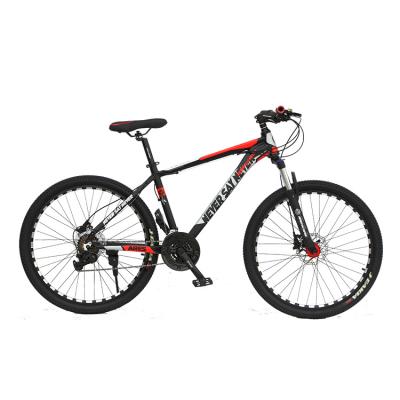 China Aluminum Alloy China Factory Supply High Quality 21 Speed ​​Aluminum Alloy Mountain Bike for sale