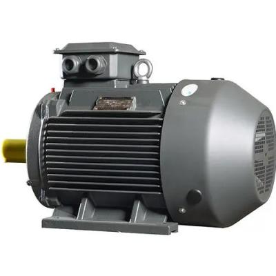 China Totally Enclosed IE3 IP54 three phase air compressor electric motor AC 220V 230V 22KW induction motor for sale