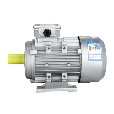 China Totally Enclosed YS Super High Efficiency Aluminum Shell Indoor Fan Ac Electric 3 Phase Induction Motor for sale