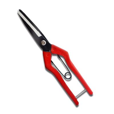 China SINSEUNG SB201  Small Plastic Cutting Scissors 115g zu verkaufen