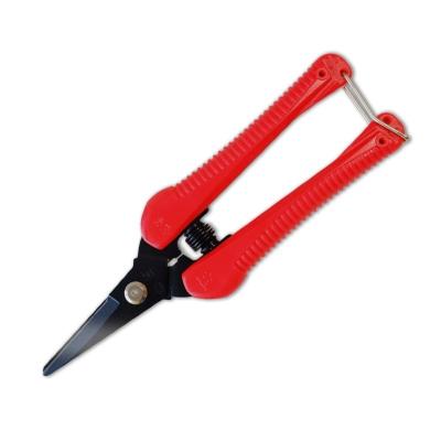 China SINSEUNG P4   Plastic Handle SK5 High Carbon Steel Scissors Pruning for sale