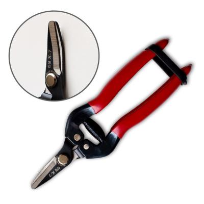 中国 SINSEUNG X7 Garden Scissors Red Handle Elbow Fruit Picking Shears 販売のため