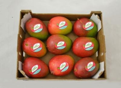 China Fruit Retail Paper Gift Packing Boxes 4 Colors Printing Glossy / Matte Film Lamination for sale