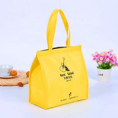 China Waterproof Custom Promotional Non Woven Eco - Friendly Cake Lunch Cooler Bag For Ice Cream for sale