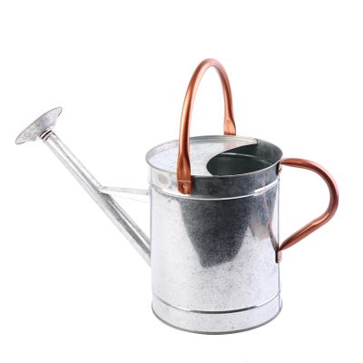 China Garden Watering Tools Outdoor Kindergarten Tools Stainless Steel Watering Box Single Pot for sale