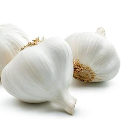 China Chinese Fresh Garlic Price Export Suppliers Wholesale Bulk Box 10Kg Fresh Chinese Pure White 6p Garlic for sale