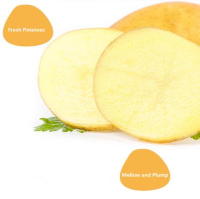 China 100g 150g 200g 250g 2021 Harvest 20kg Mesh Bag Bright Yellow Skin Healthy Nutritious Fresh Yellow Potato Price for sale