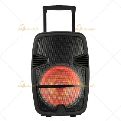 China Indoor Portable Amplifier Speaker 12 Inch Full Range with LED Light for sale